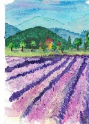 Кириенко Никита 11 лет